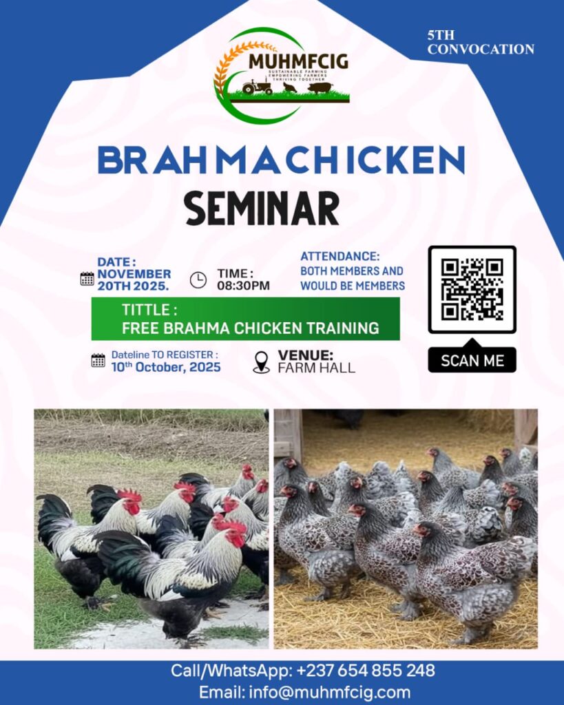 Brahma Chicken Seminar