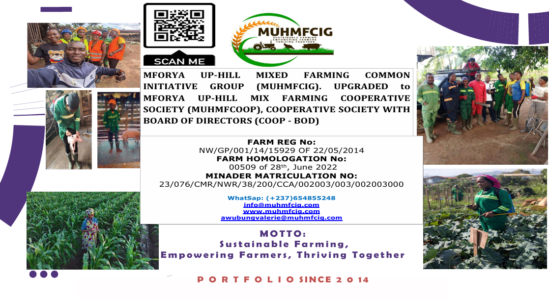 MUHMFCIG-MUHMFCOOP Brochure